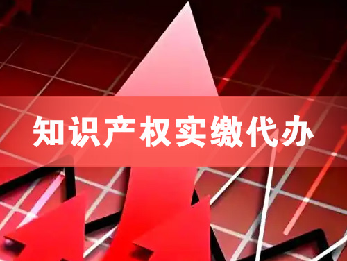 那曲知识产权实缴资本代办